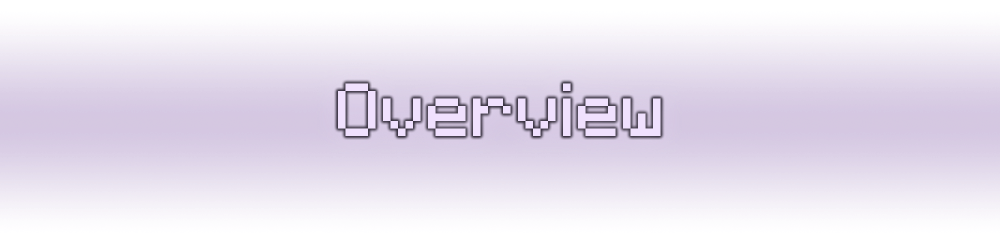 A header that reads: "Overview"