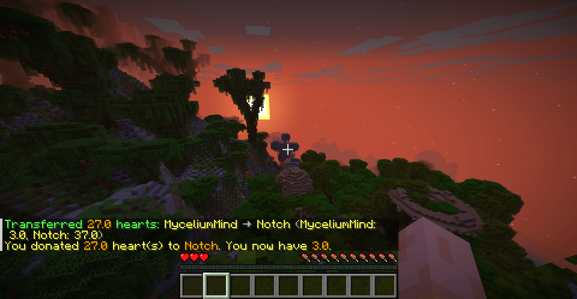 展示向队友发送生命值,以及对给予玩家低于原版生命值和干净缩放的支持