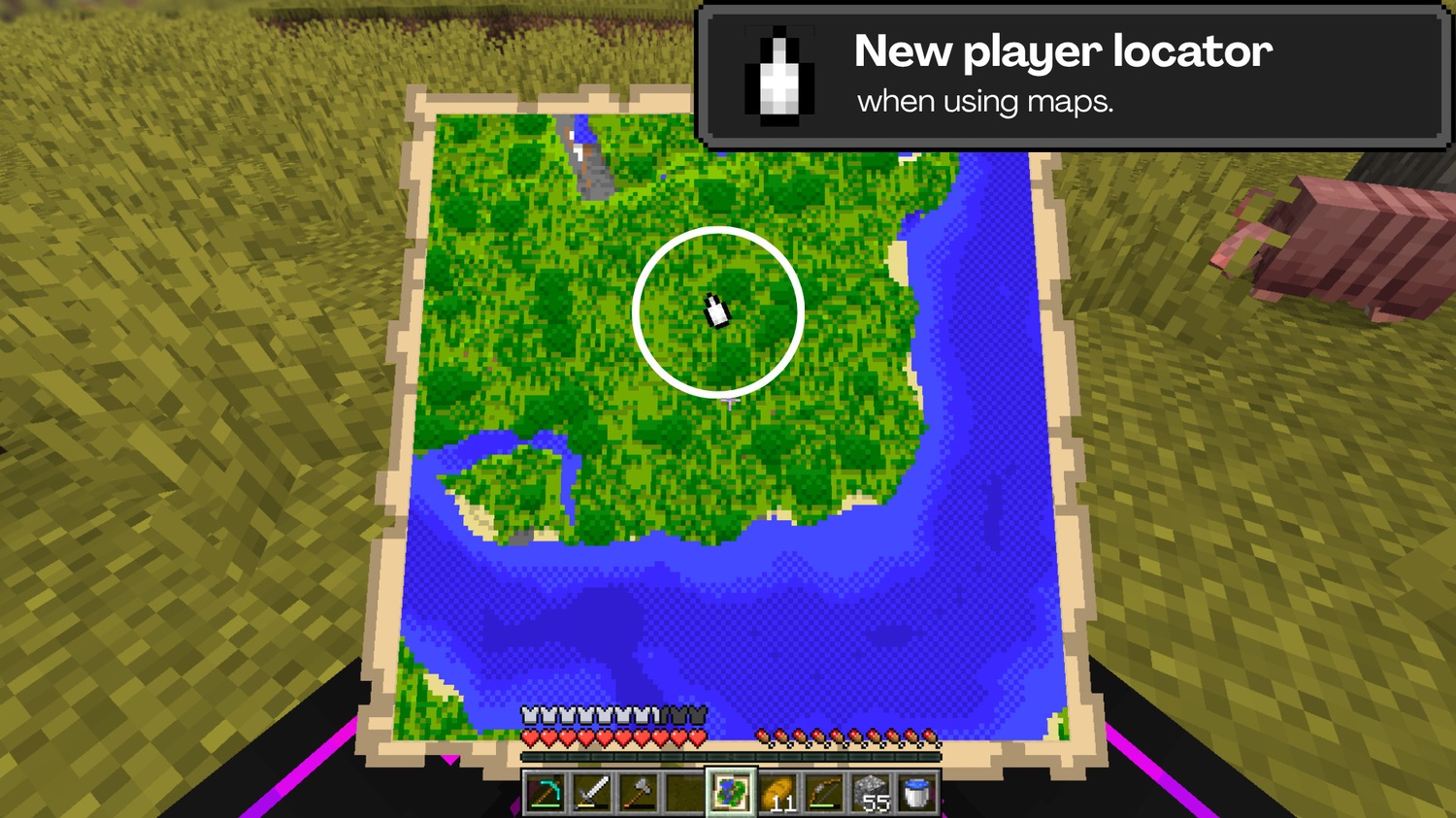 Player locator on map