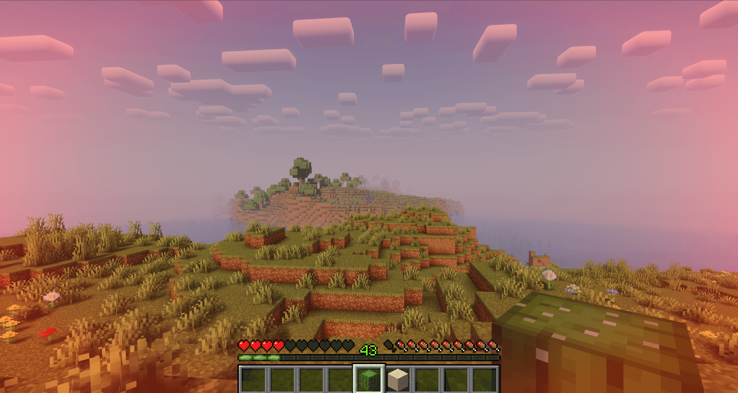 shaders