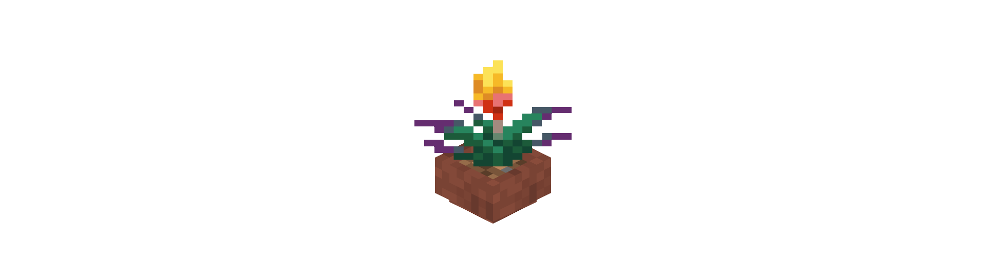 Slideshow Pots