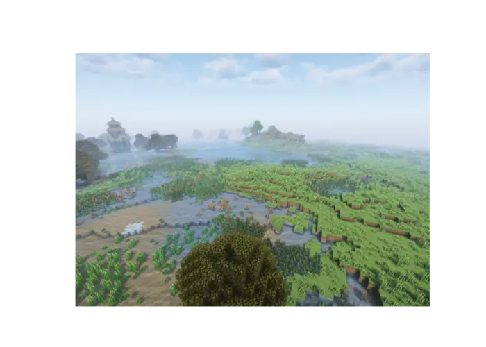First Image
