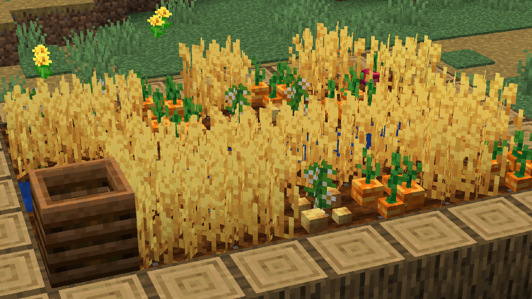 Farm
