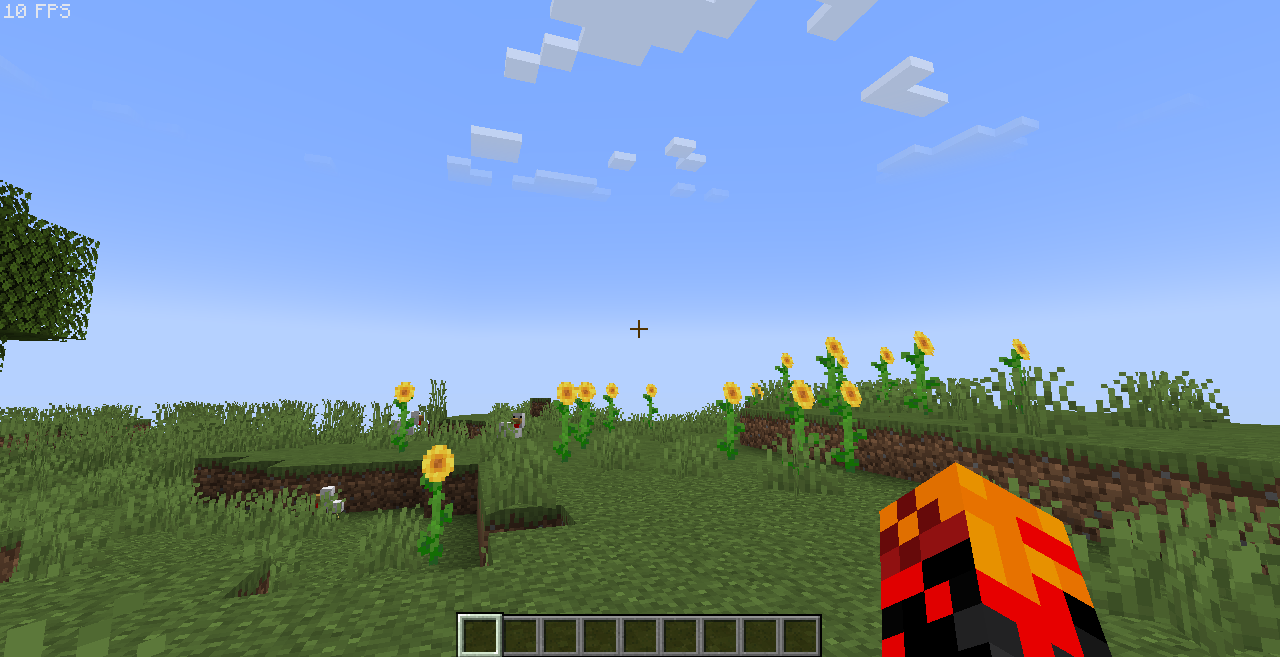 Even Though It Runs At 10 FPS It Still Runs As Smooth As 60 FPS