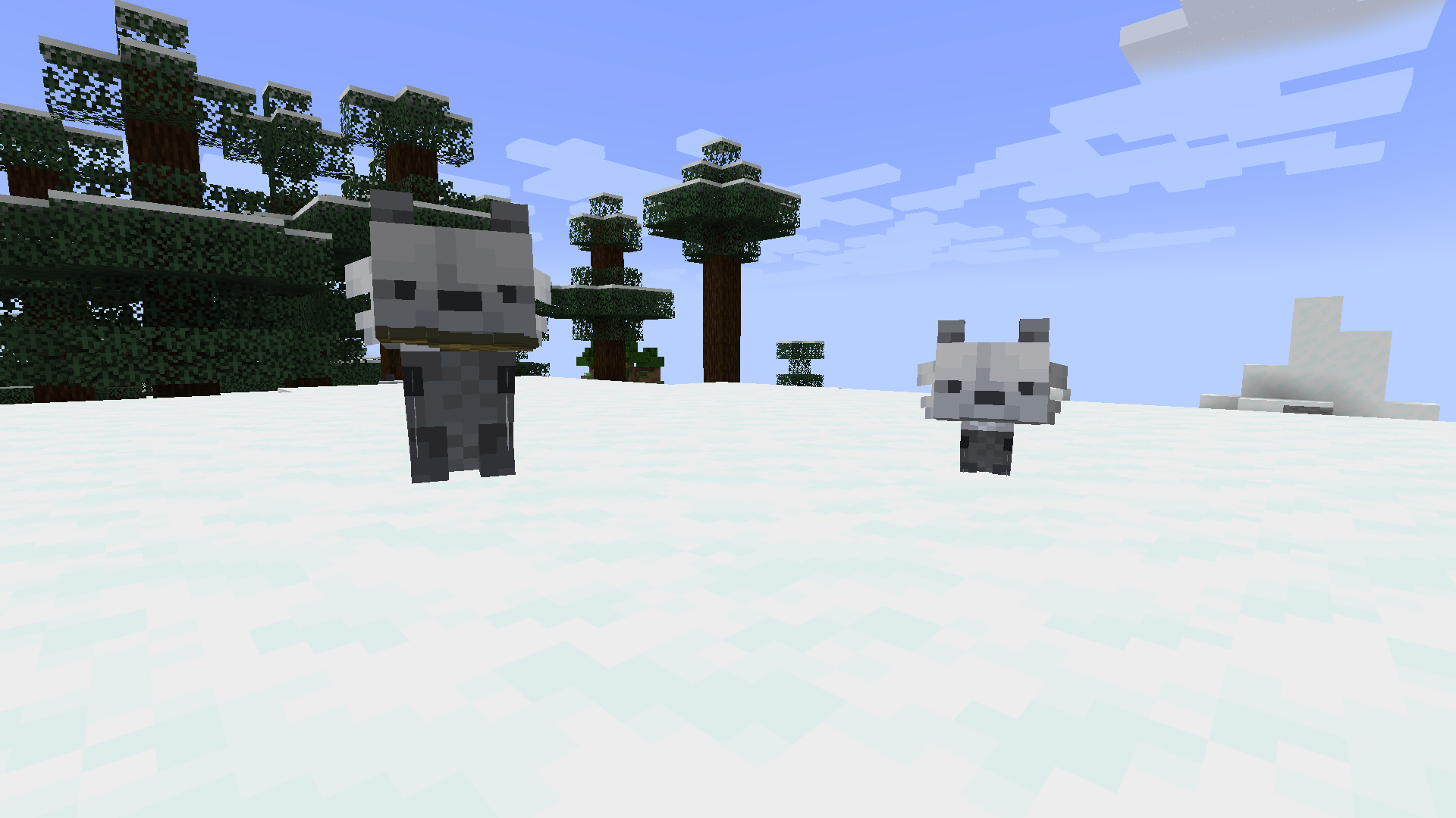 Tamed foxes sitting at the snowy mountain