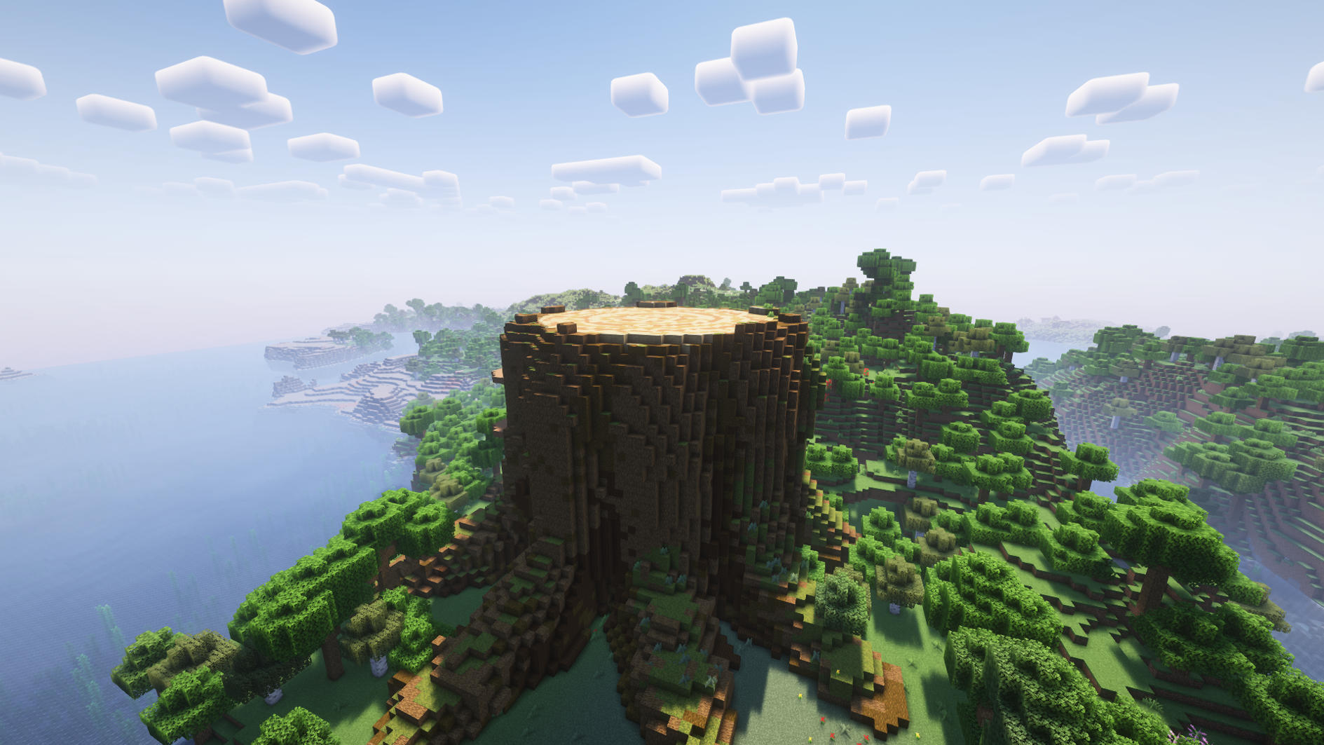 Tree stump