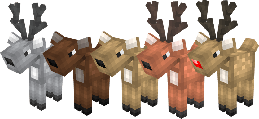 Deers