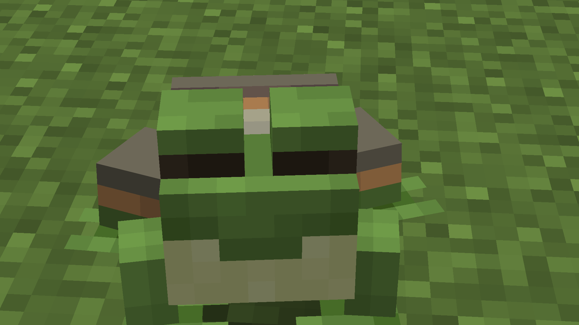 a frog (Cold variant) designed to look like ChaosBaz