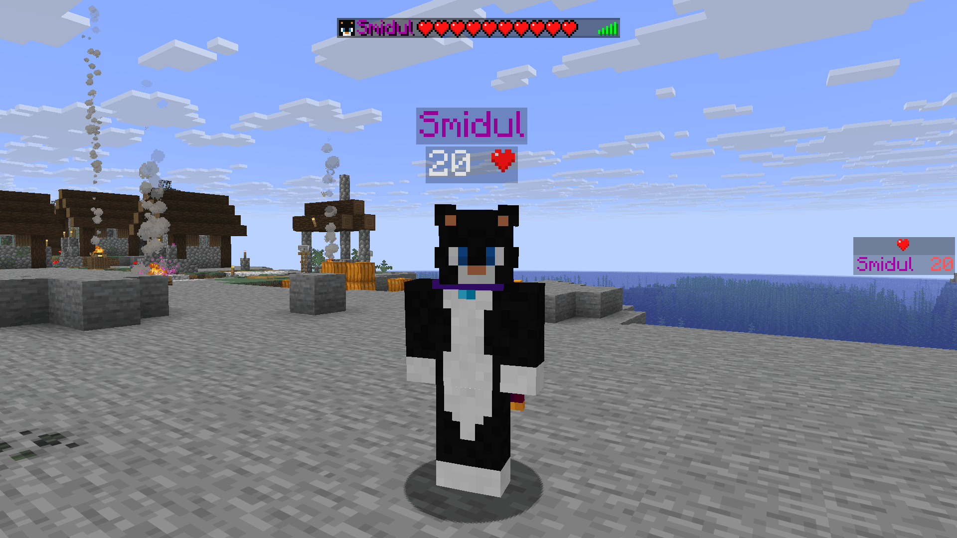 A preview of the what health display looks like with all options enabled.