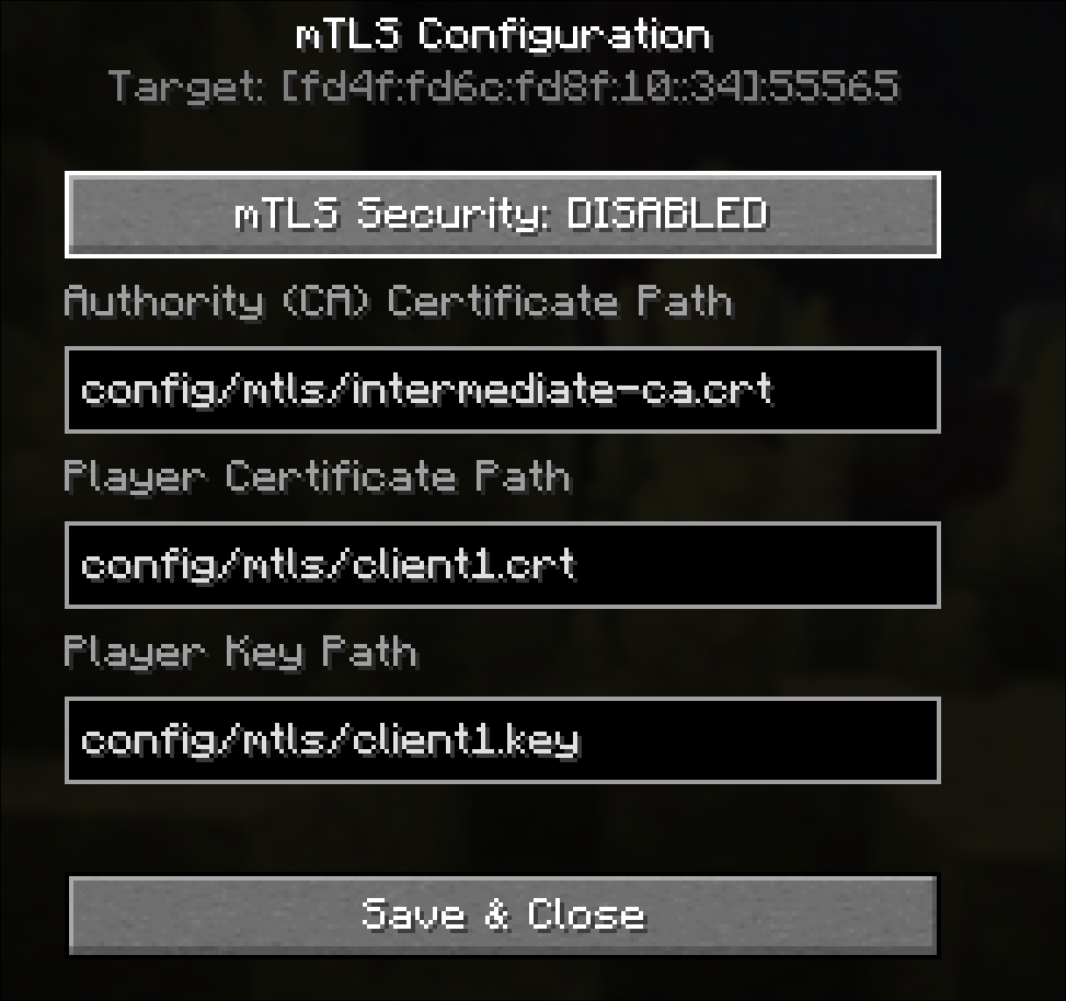 mTLS Server Connection Details