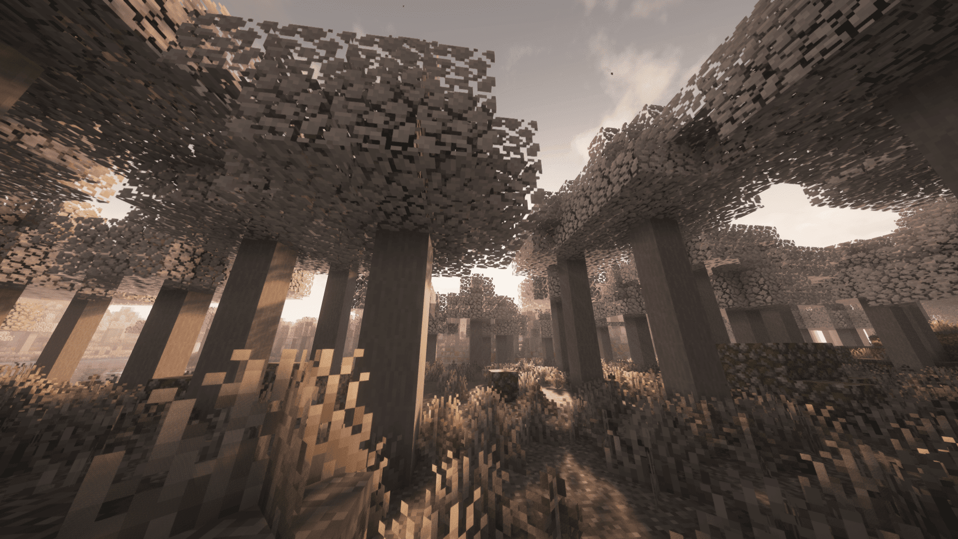 monochrome forest