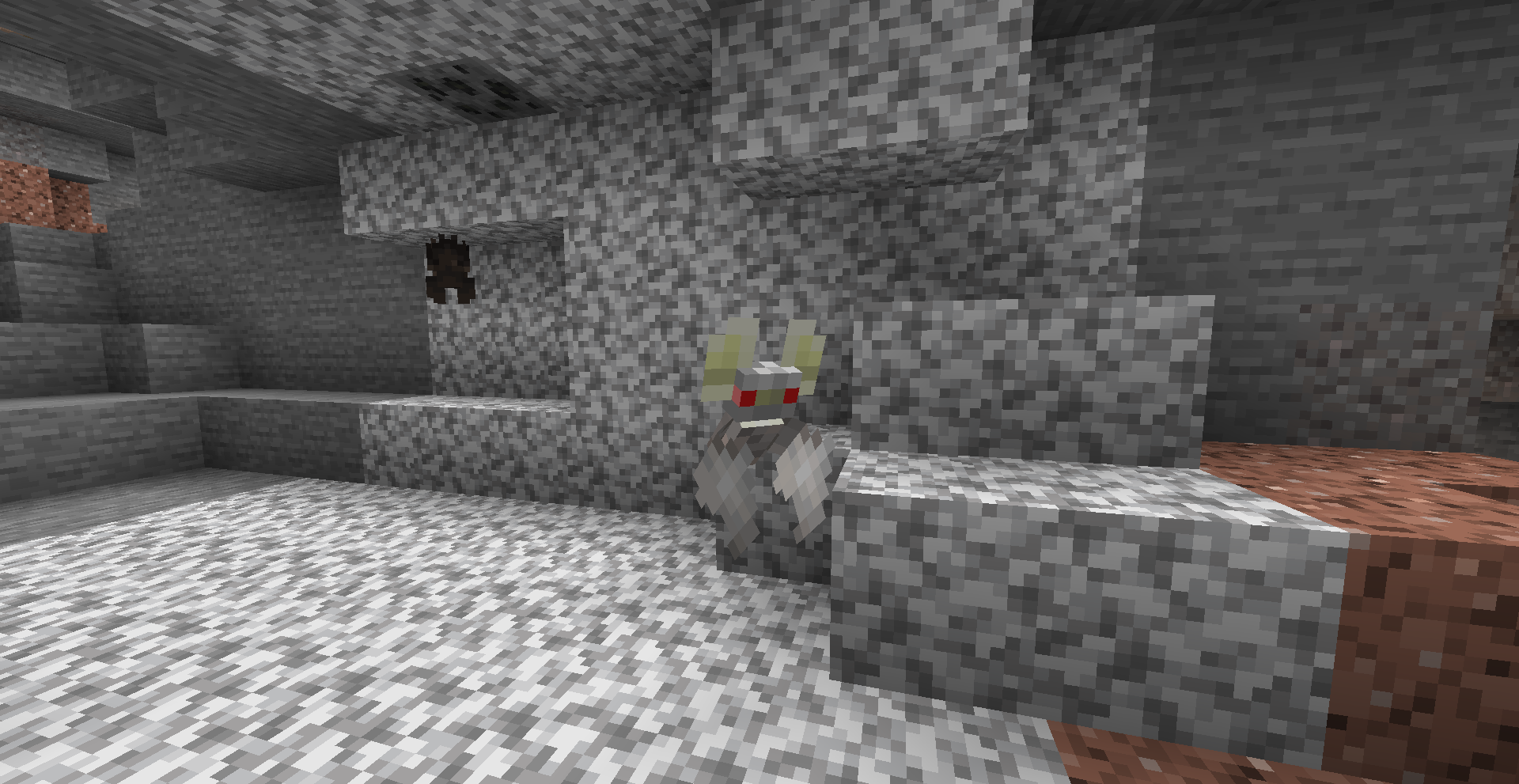 An albino bat in a cave infront of some diorite