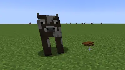 A cow standing by some poop