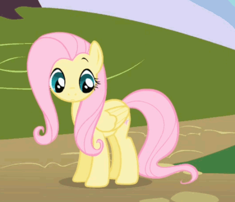 Fluttershy