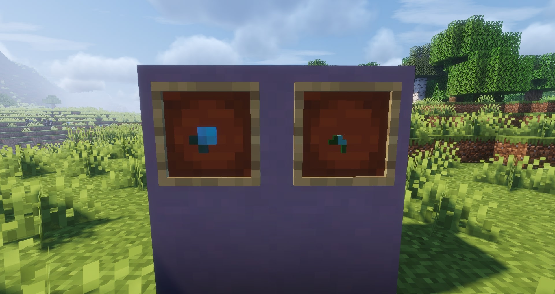 Two new foods inspired from Sweet Berries