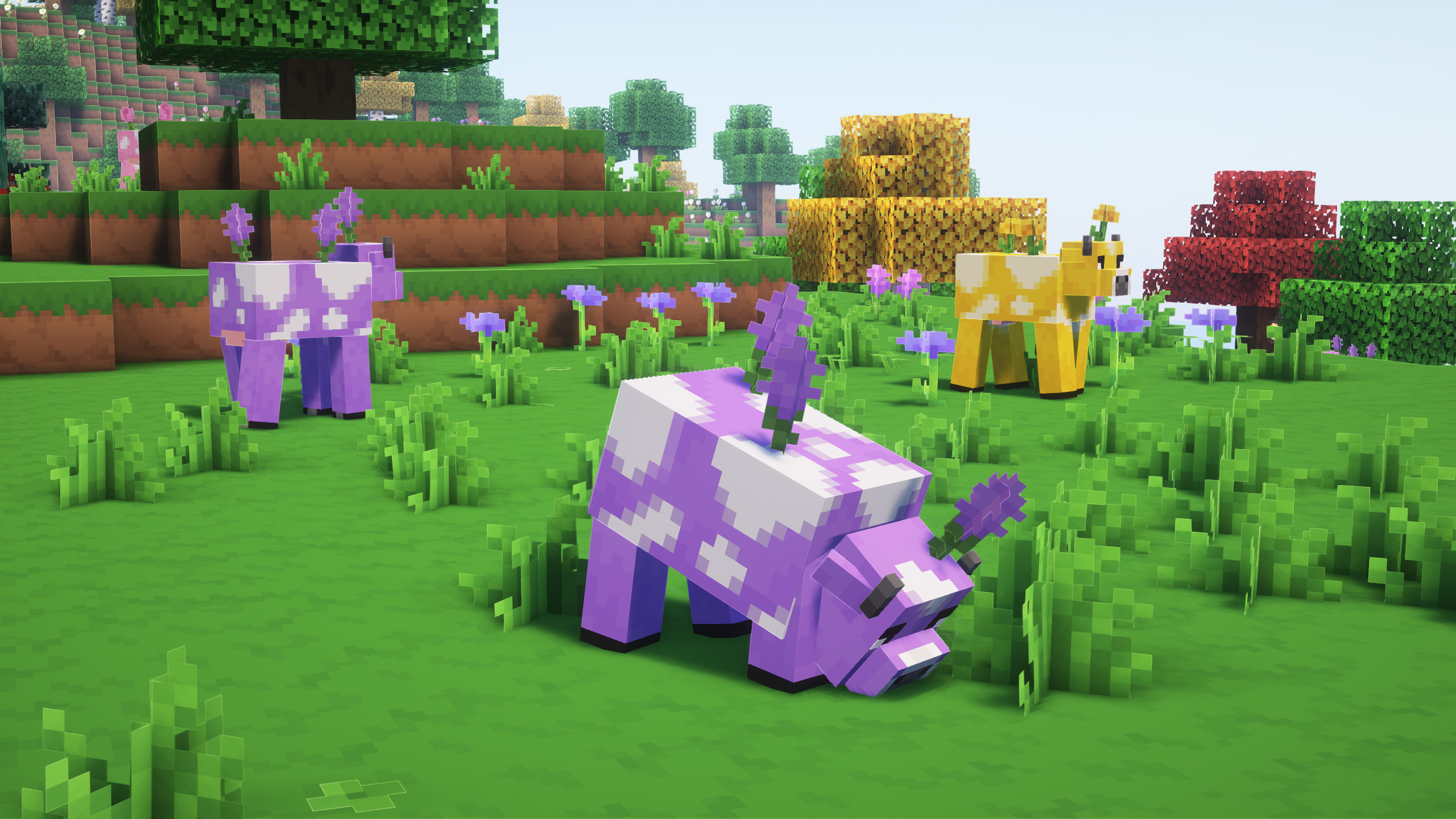 Mooblooms