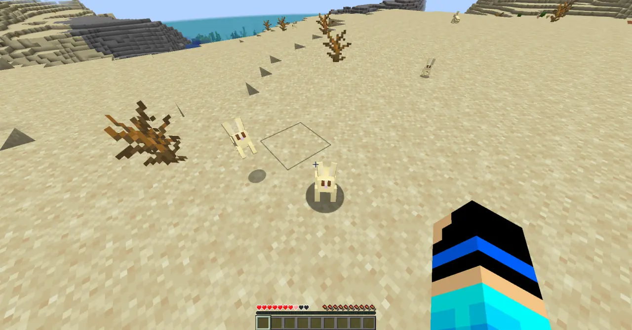 A rabbit attacked me.