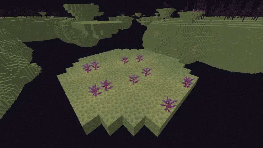 A patch of Dragon Mint on a small End island