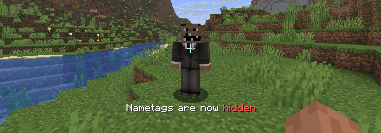 Nametag hidden