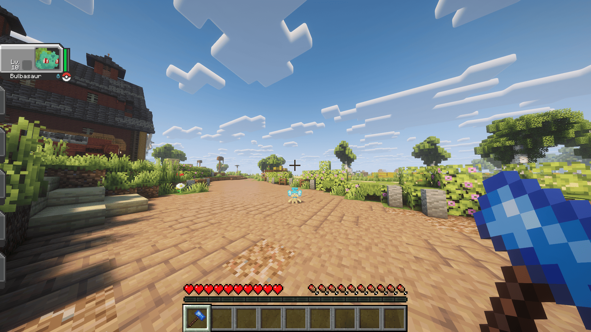 First Person View