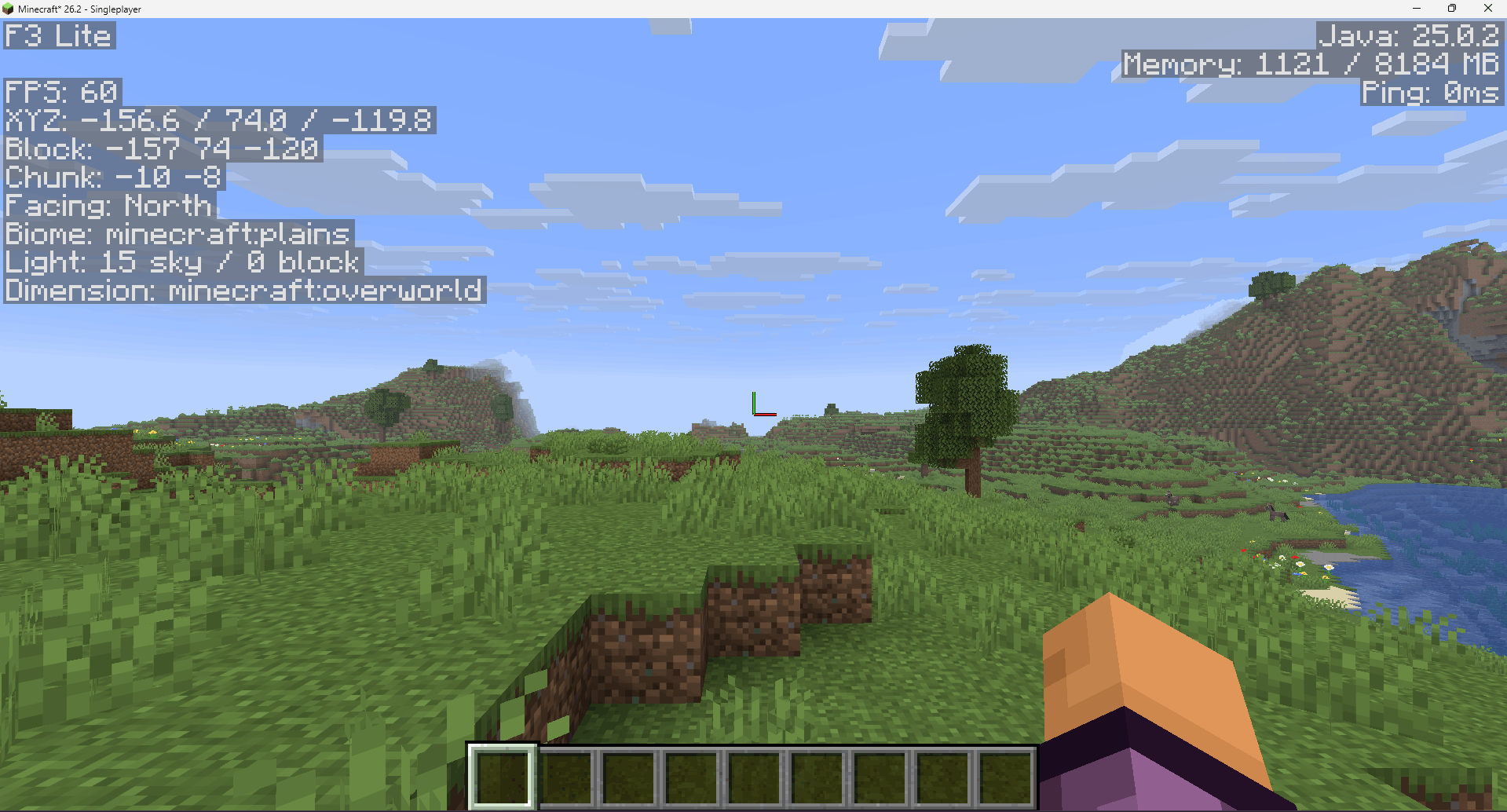 F3 menu with F3 Lite mod