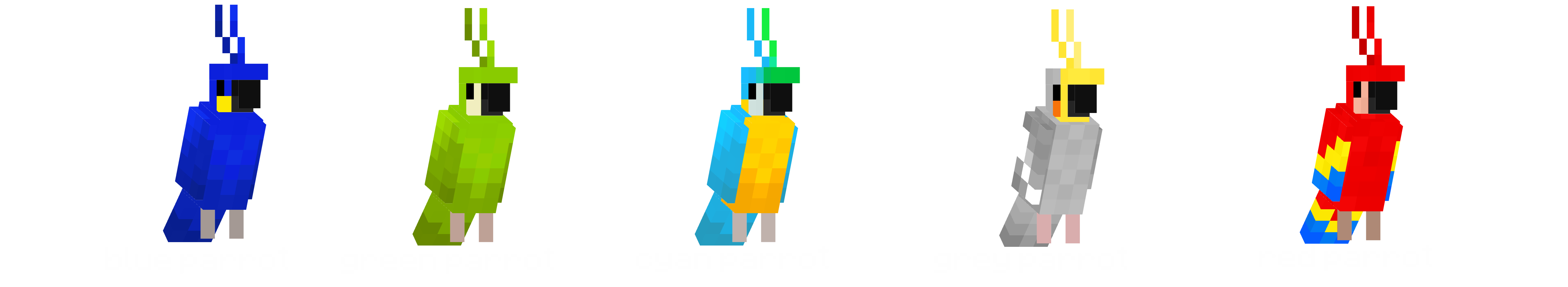 parrots