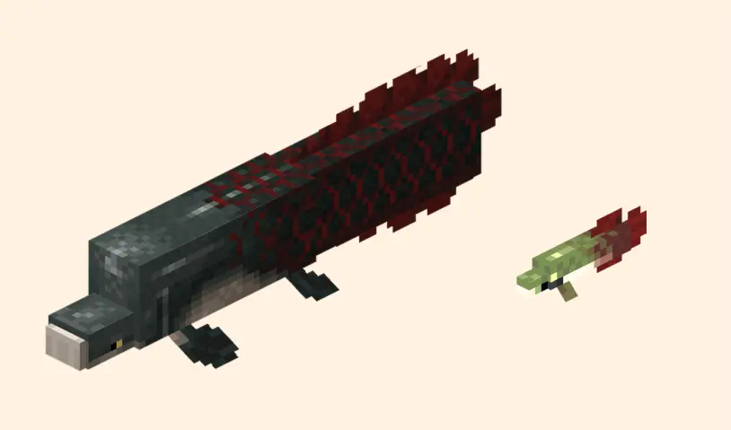 Arapaima