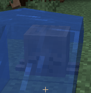 Dried Ghast in water
