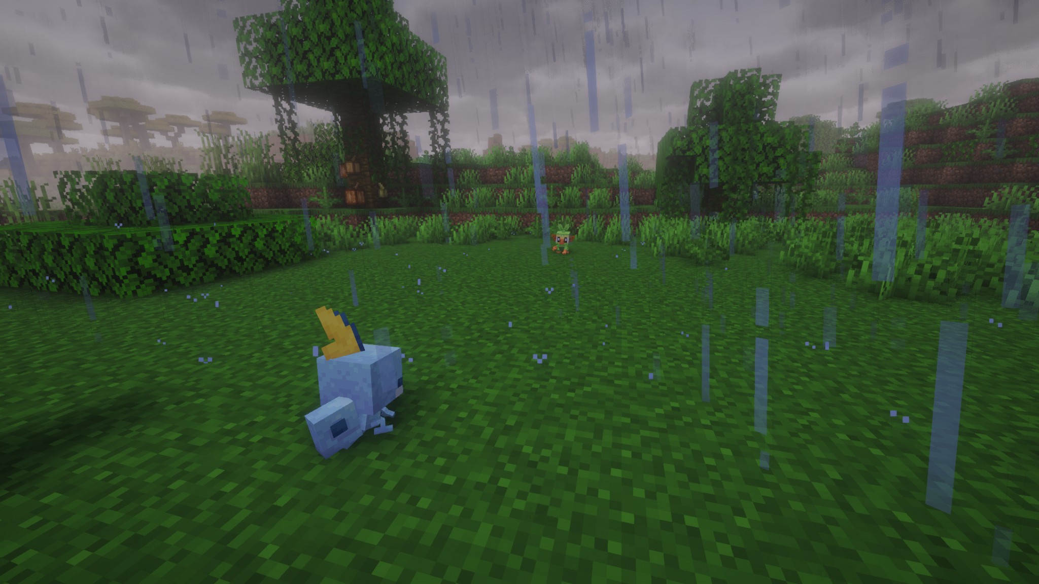 Sobble Battling Grookey in a clear terrain with rainy weather in the jungle