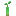 Mangrove Propagule item