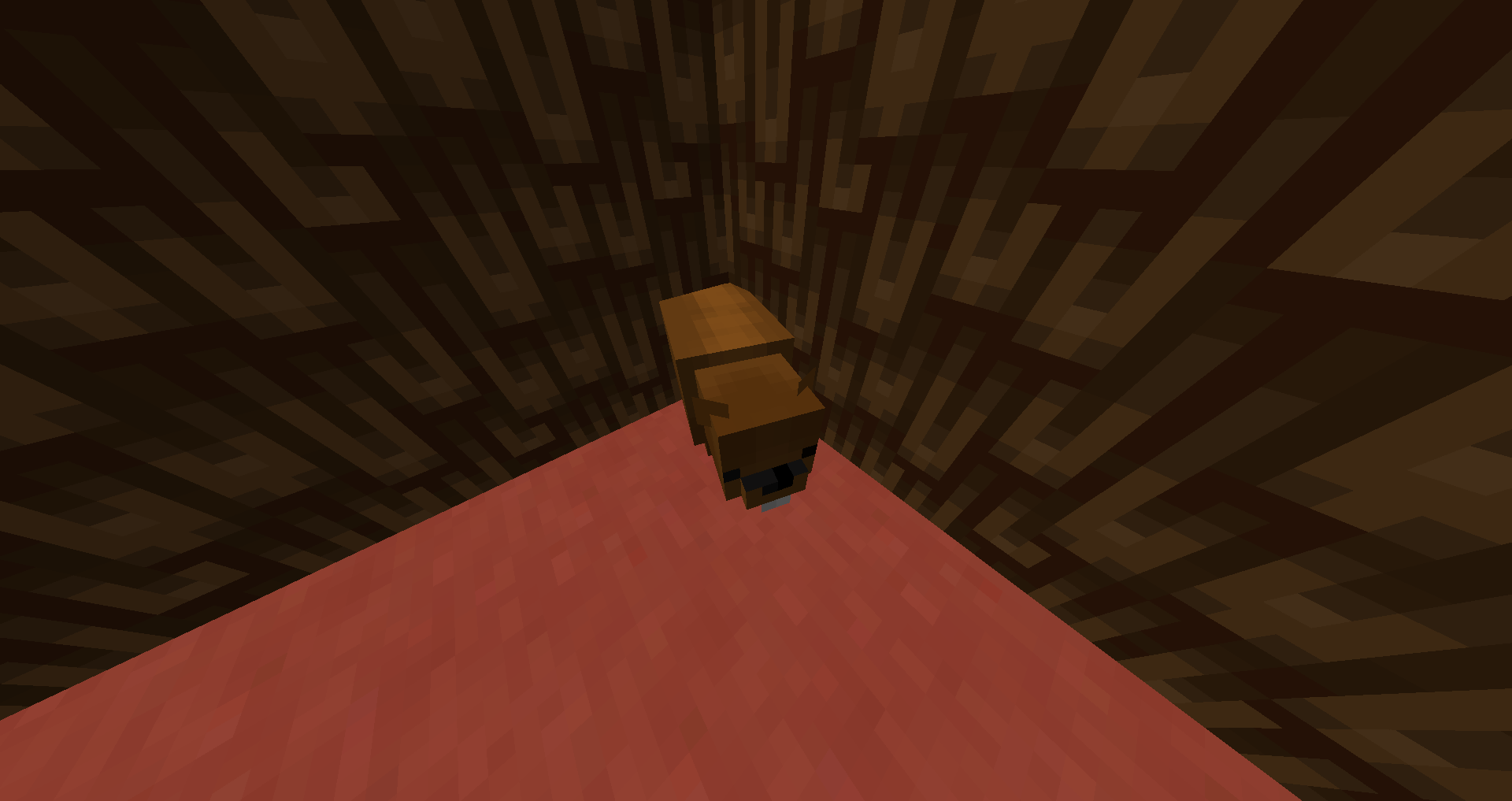 Beaver