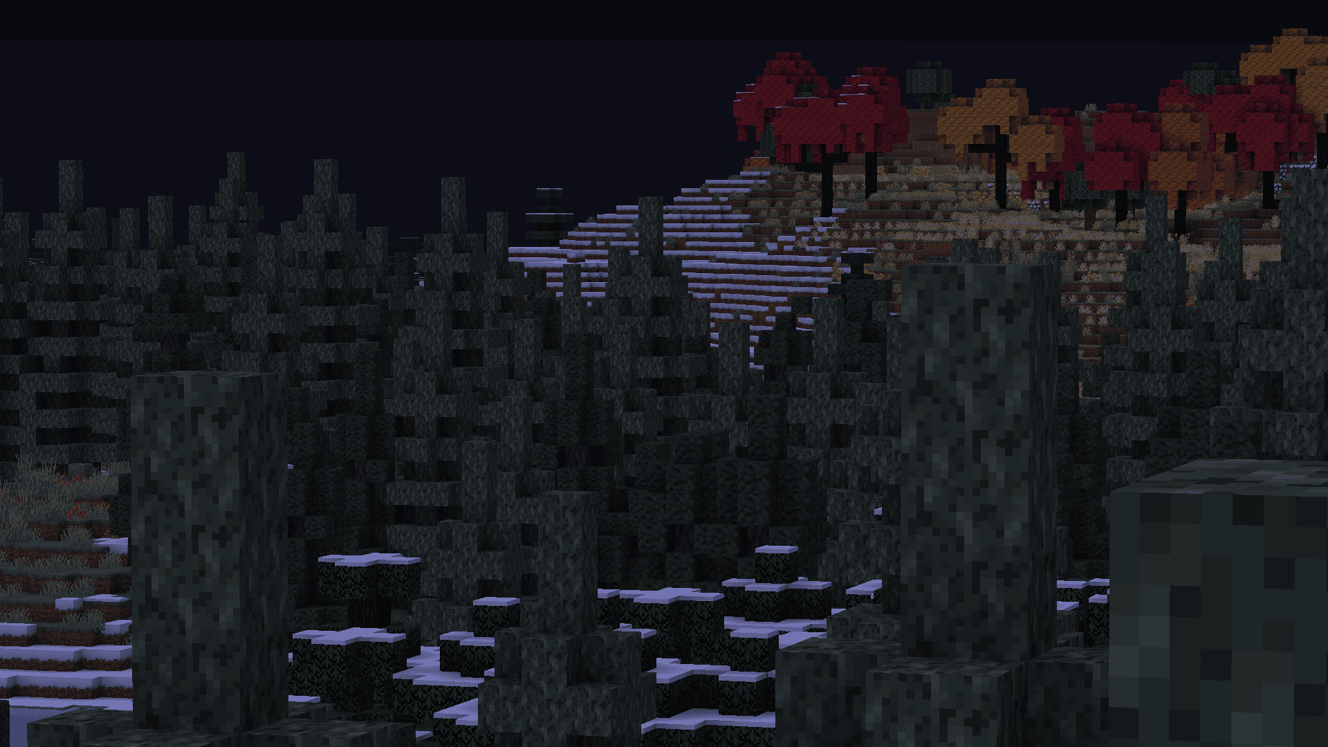 winter tree view