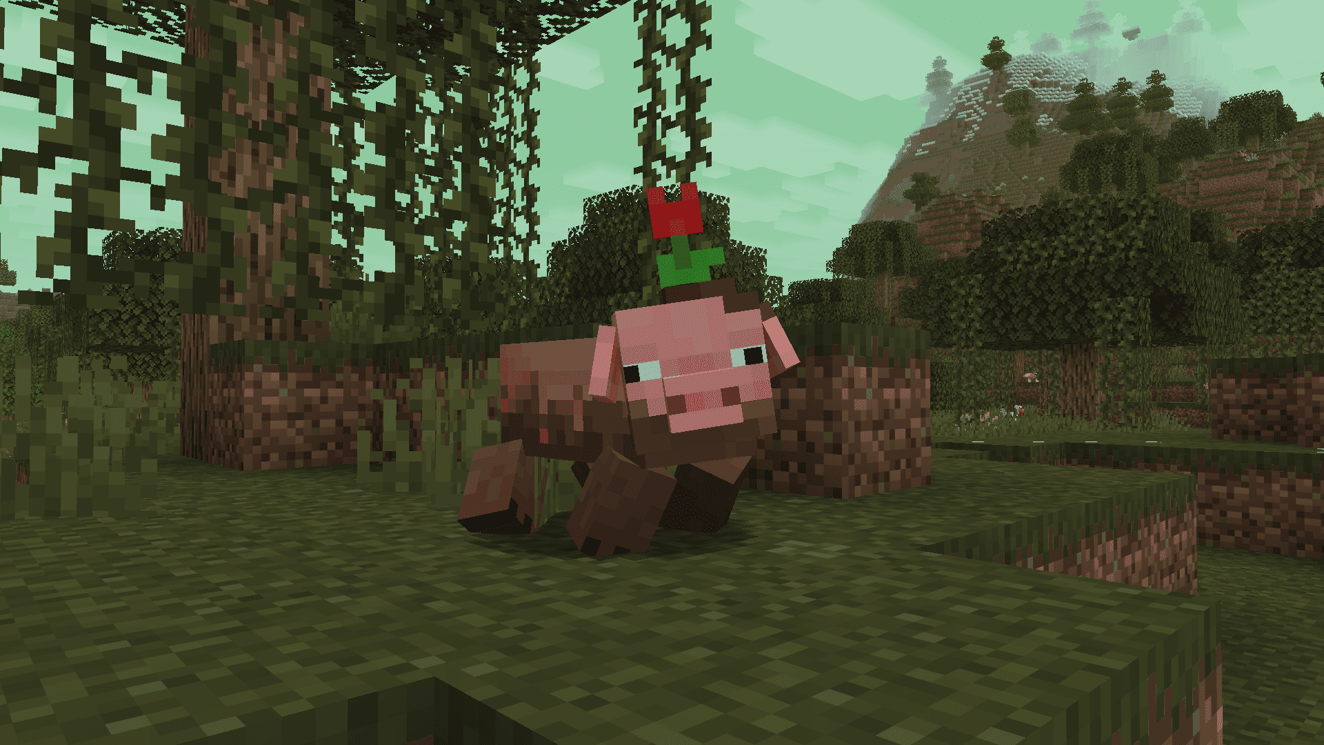 Pig