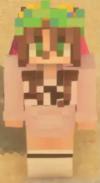 screenshot of a player wearing the turtle helmet