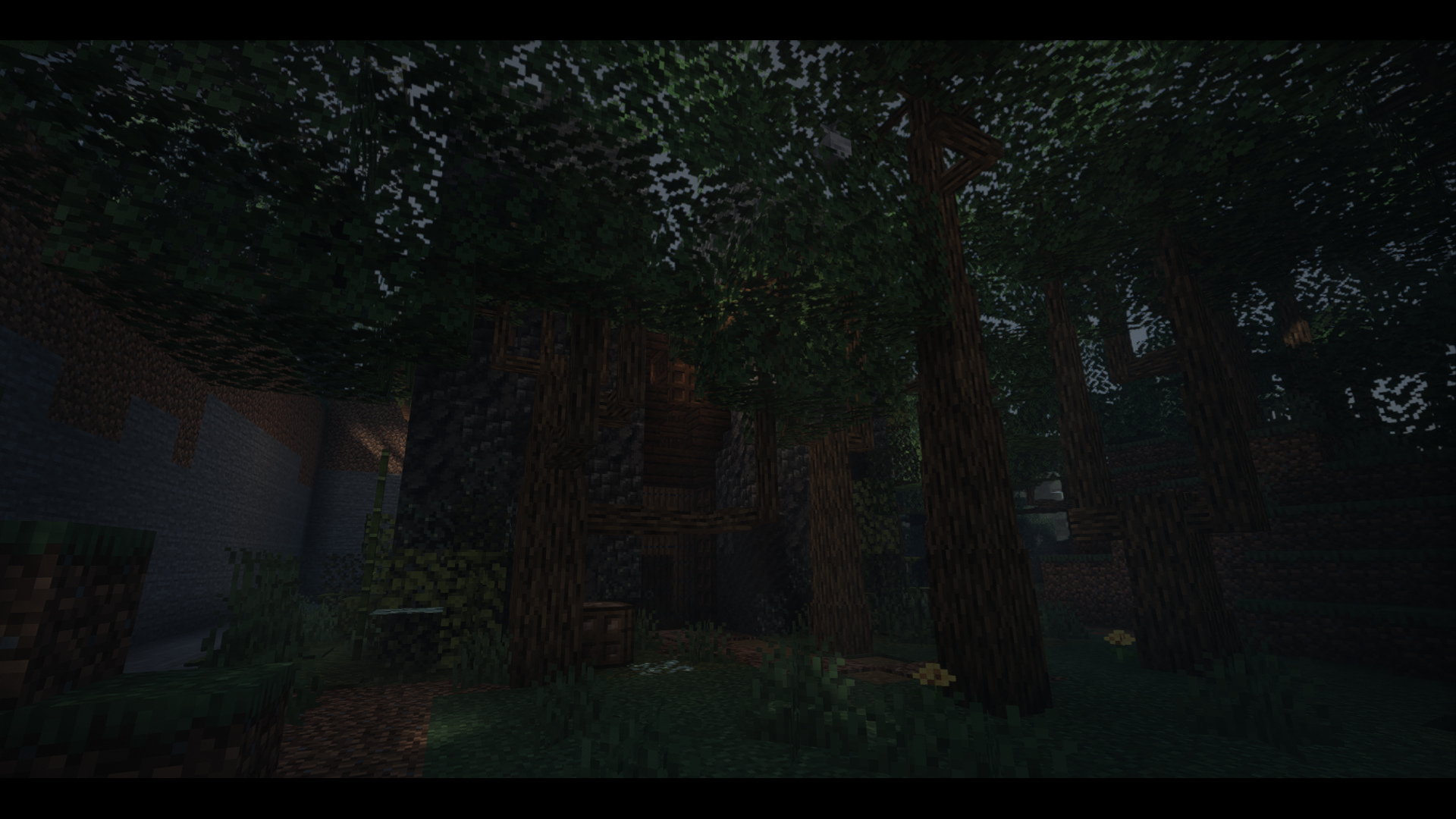 Just a walk in the woods