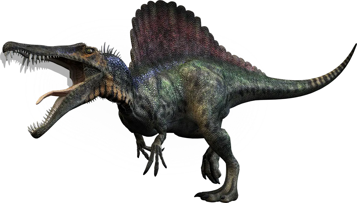 spino