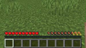 Hotbar with saturation and exhaustion levels