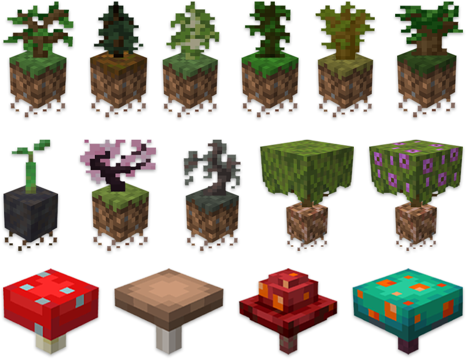 flowers and plants1