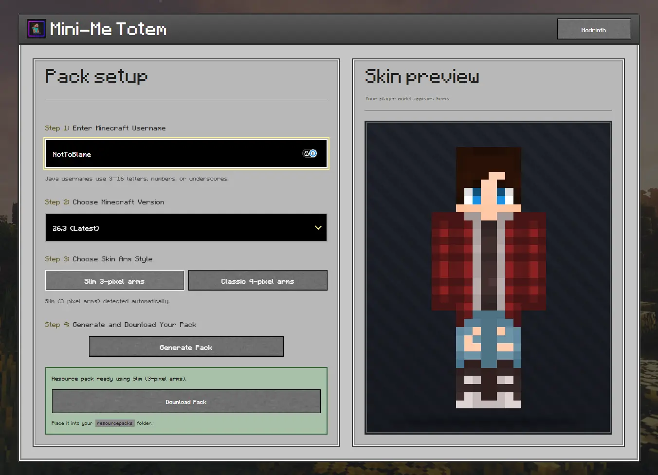 Preview of the Mini-Me Totem web generator
