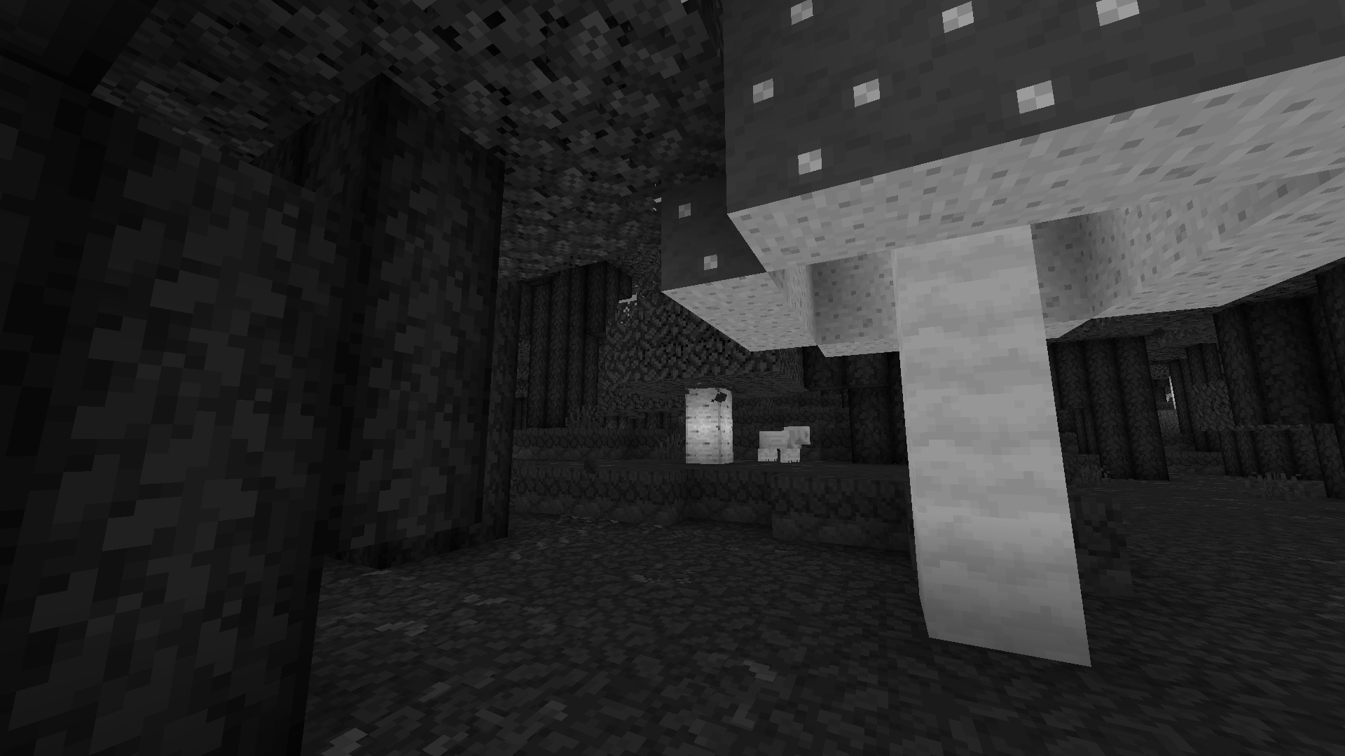 Dark Oak Forest