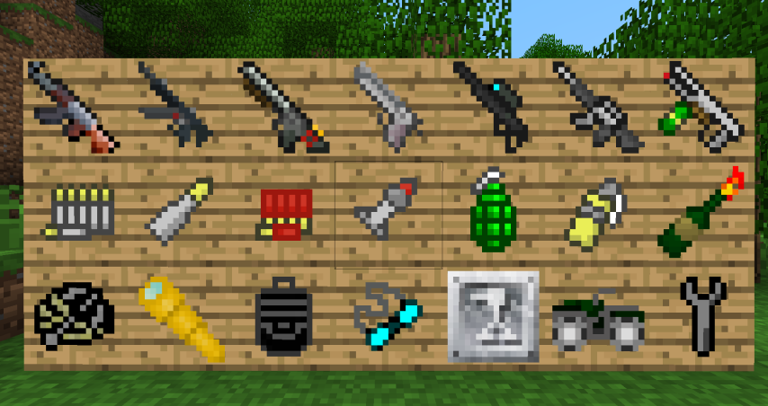 Guns Showcase on Wall