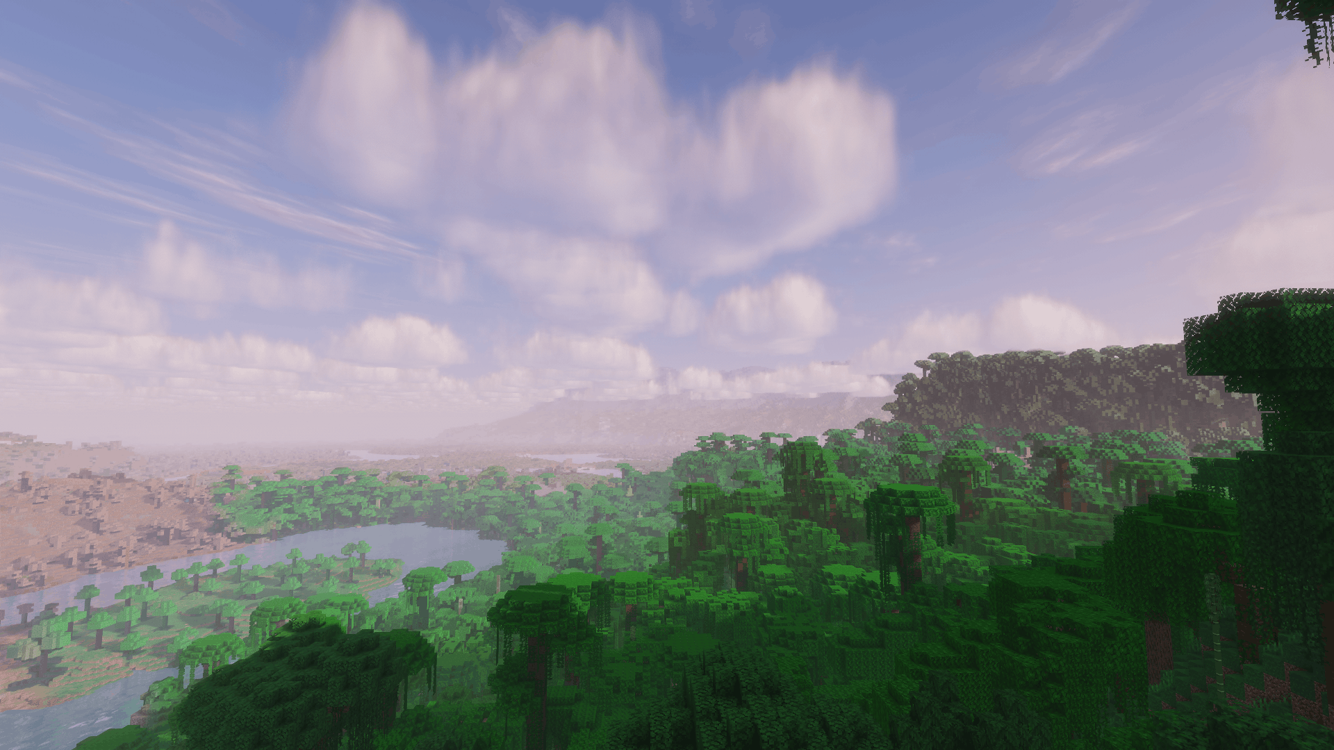 Vast jungle with mountains in the distance