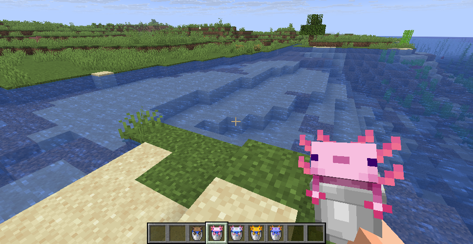 axolotl buckets