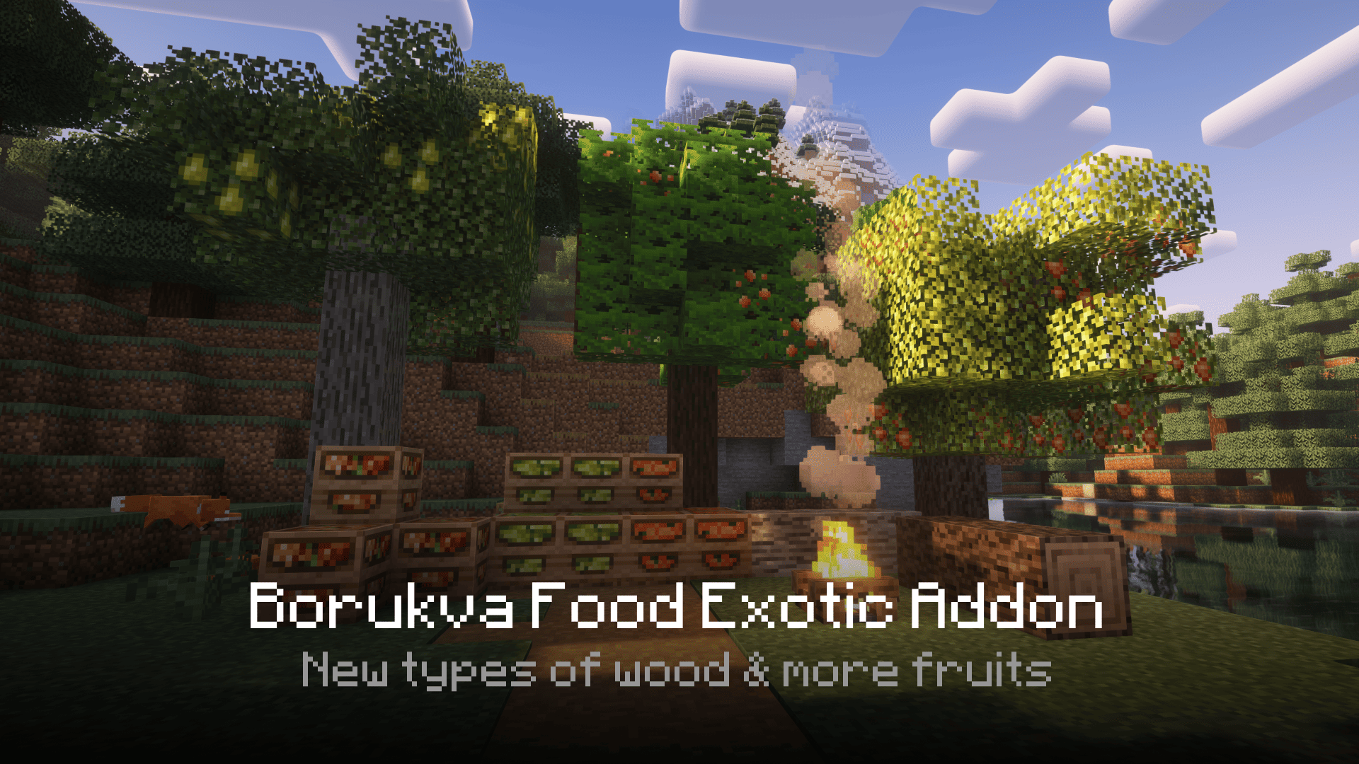 Borukva Food Exotic