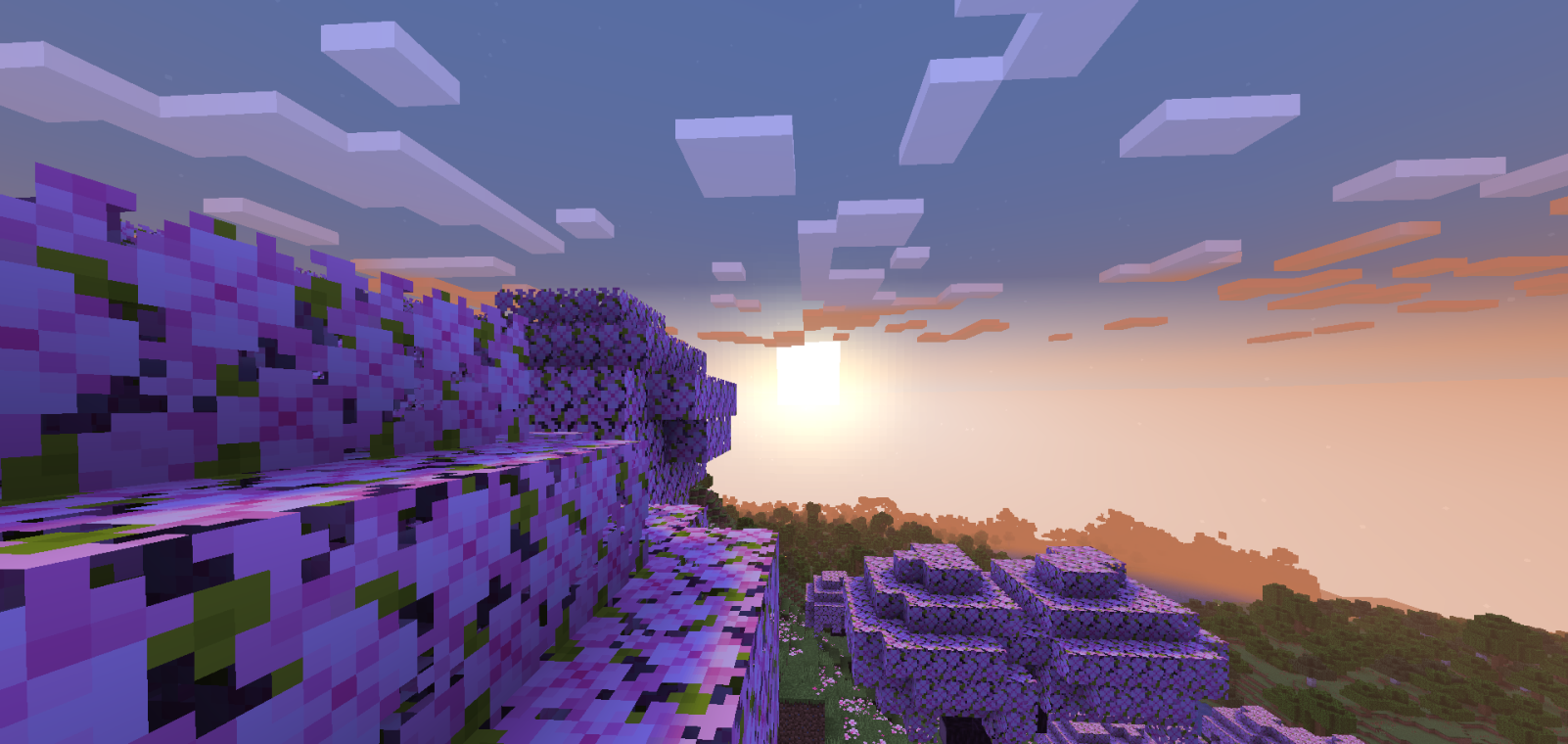 1.1 Showcase
