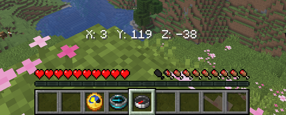 Compass show you coords