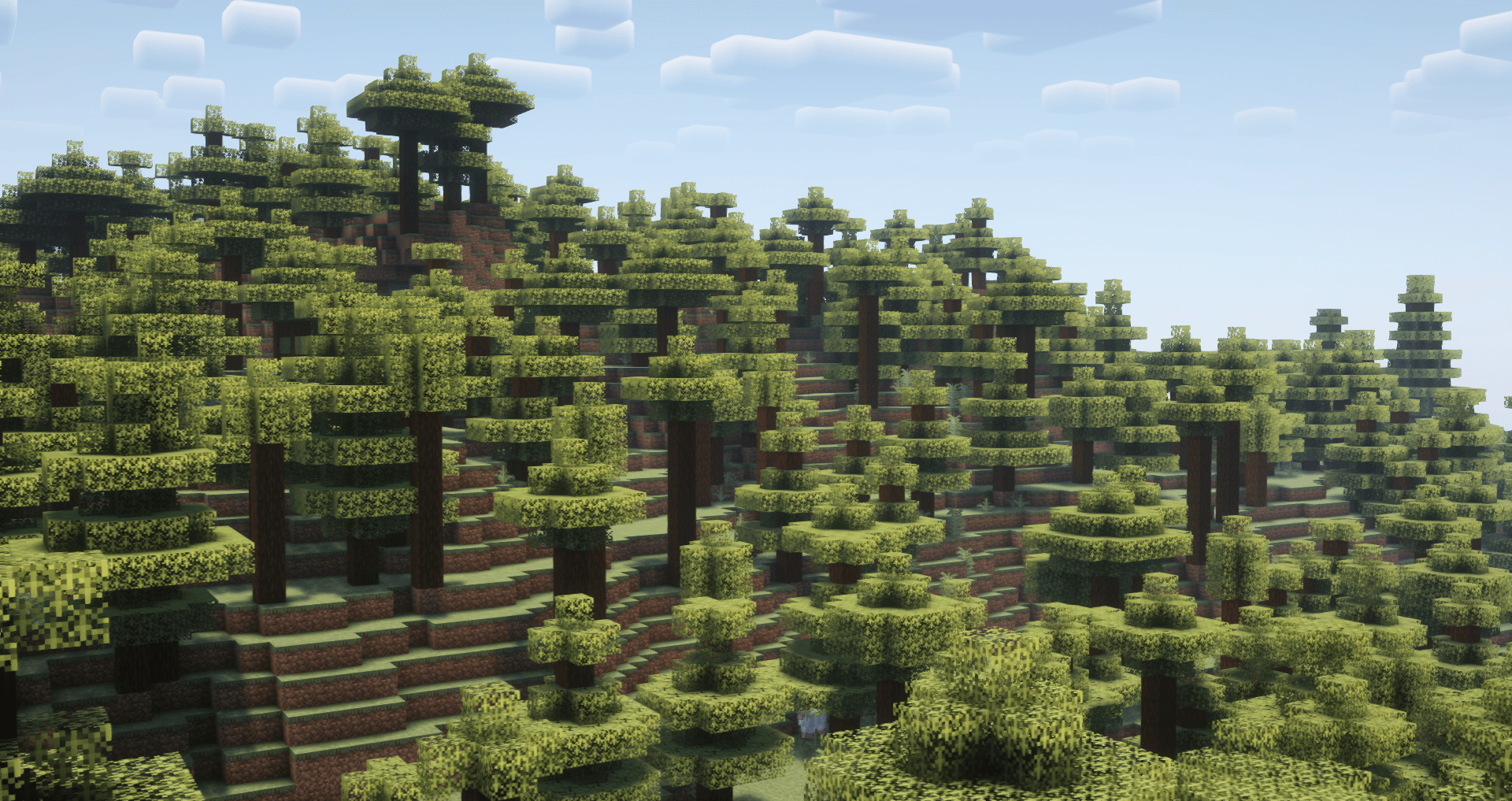 The Taiga Biome