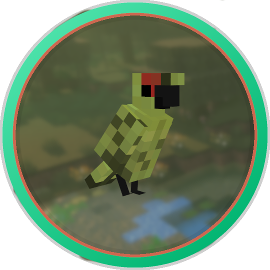swamp