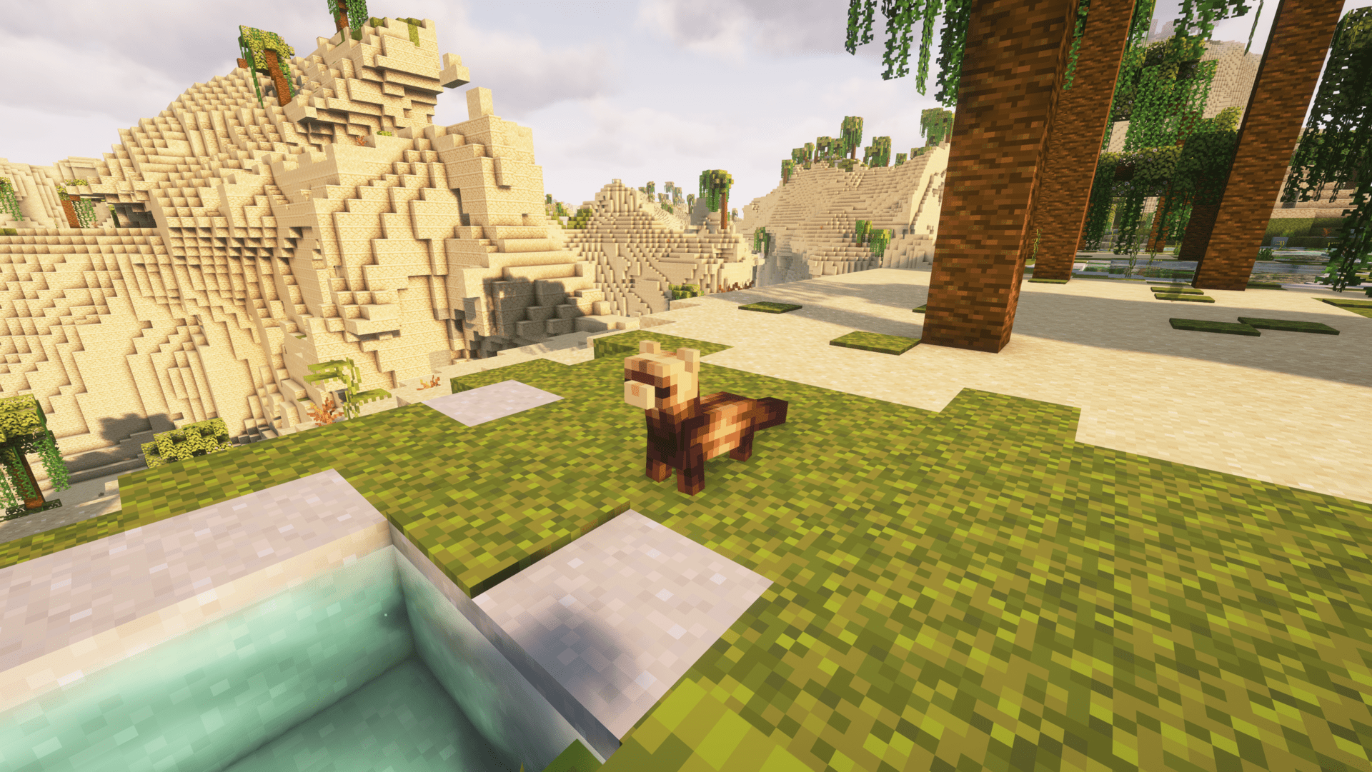A cute ferret as a companion