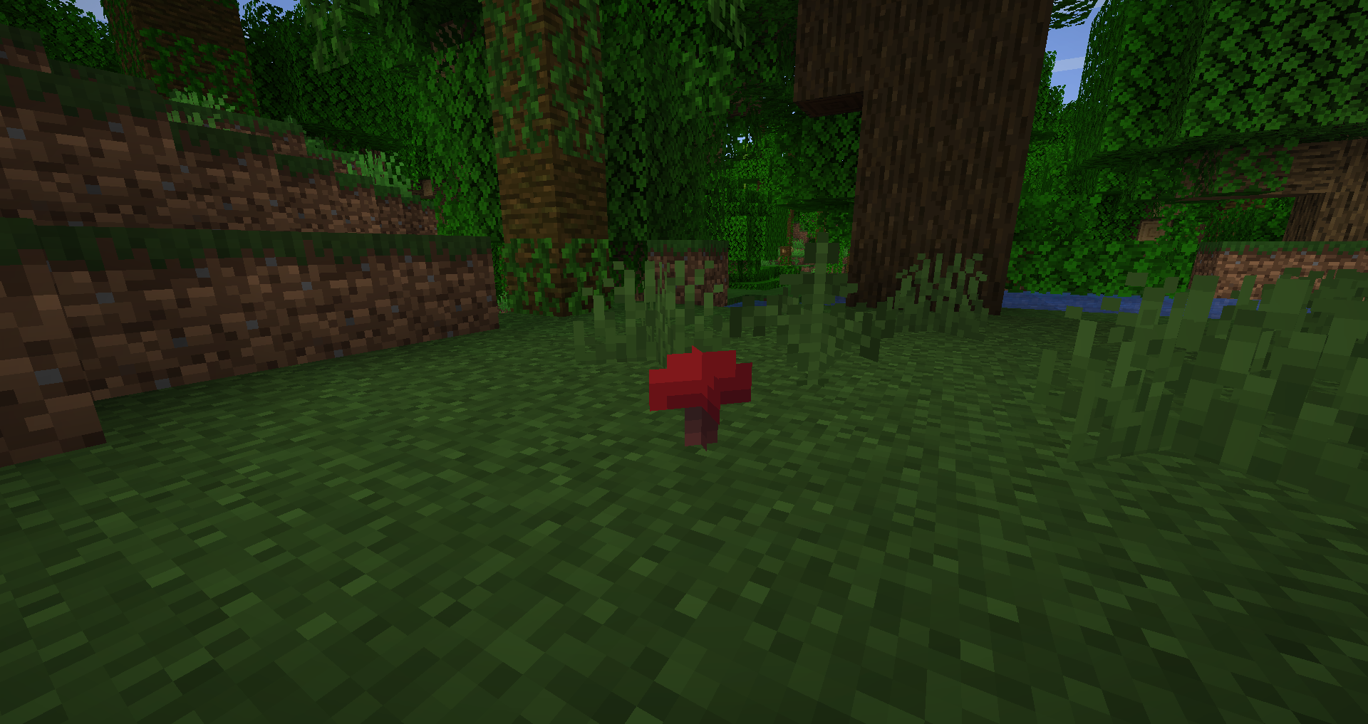 Bloodcap